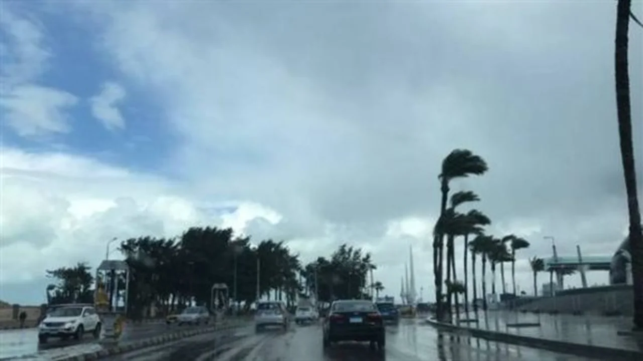 تحذير للمسافرين والمزارعين.. الأرصاد تكشف تفاصيل تقلبات طقس السبت 17 يناير 2026